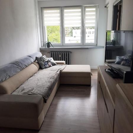 Ferienwohnung Apartament Komfortowy - W Pelni Wyposazony - Spaceapart Jelenia Góra Exterior foto